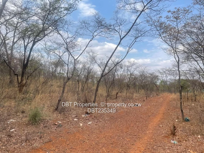 An Inestors Delight, Massive Land Bank For Sale In Kwekwe 