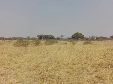 Farm & Agricultural Land