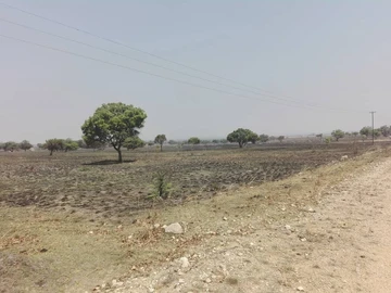 Farm & Agricultural Land