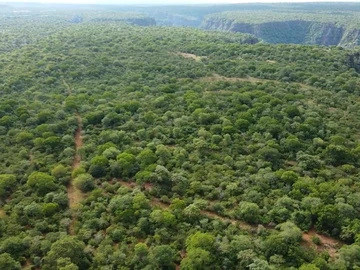Commercial & Industrial Land