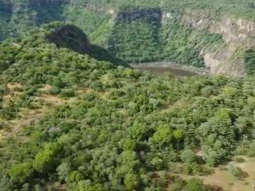 Commercial & Industrial Land
