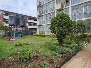 Flat & Apartment