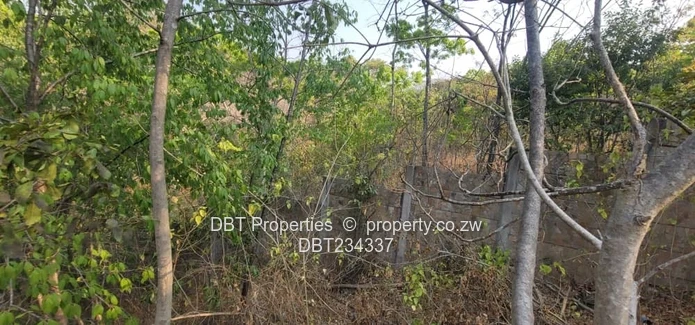 5200m² Glen Lorne Stand — Elevated Wooded Retreat