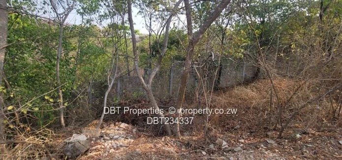 5200m² Glen Lorne Stand — Elevated Wooded Retreat