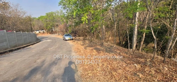 5200m² Glen Lorne Stand — Elevated Wooded Retreat