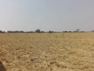 Farm & Agricultural Land